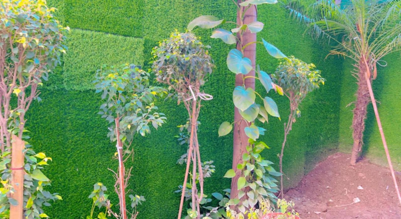 City View With Garden -5 Mins Walk From Golden Temple Amritsar Eksteriør bilde